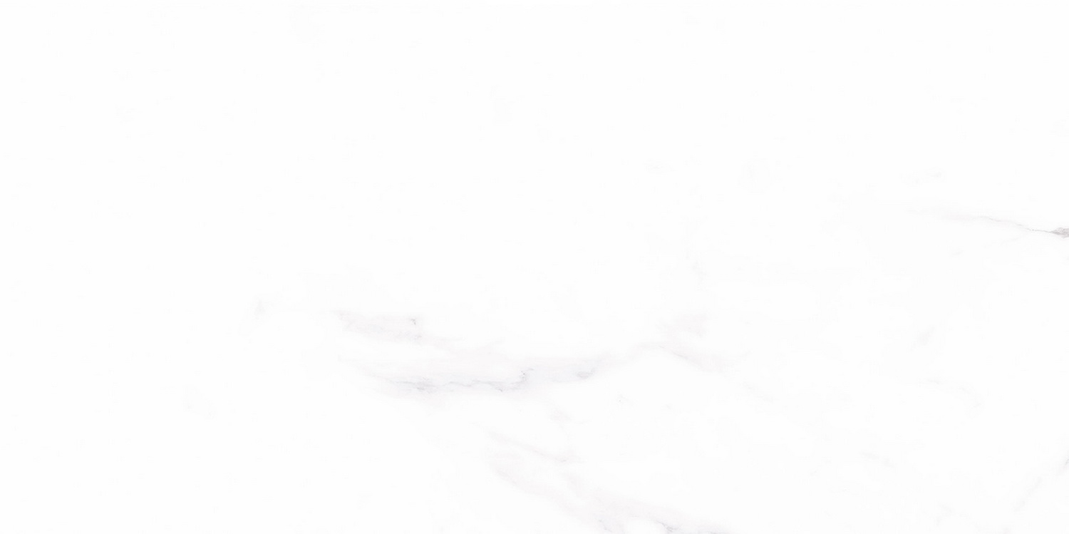 2A60812(300x600)圖2